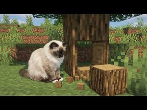 I put my REAL CAT into Minecraft! 😱
