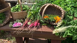Our Garden Produce Cooking Challenge is back! Interpreters Robert and Joe are competing in a cook-off using ingredients from our Colonial Gardens. As one commenter shared on our first challenge video, maybe we should coin this "Wrought-iron Chef!" Any other clever 18th-century themed suggestions? | Colonial Williamsburg