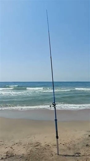 Esperando el pez !!!!😨🥵🎣 #fishing #fish