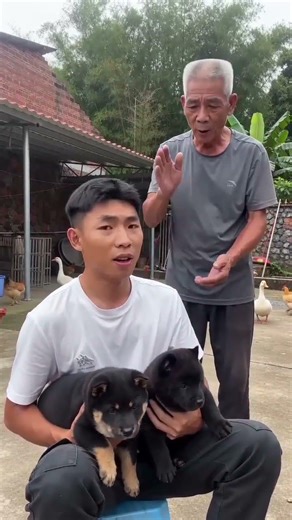 Intricate Four-Eyed Black Dogs in a Chinese Village: A Heartwarming Tale