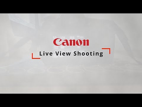 Live View Shooting on Canon Camera | DSLR Photography Basics