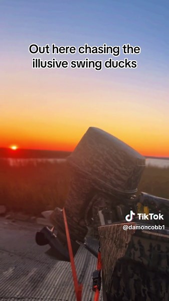 Chasing Illusive Swing Ducks - Duck Hunt Adventure