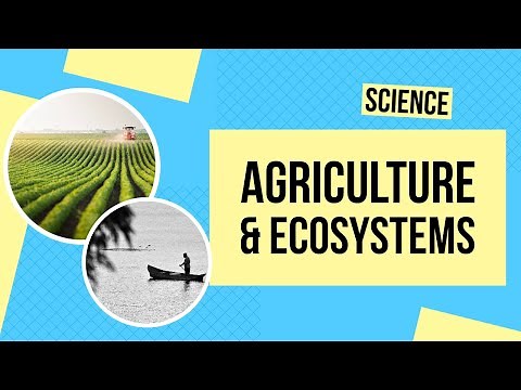 Agriculture and Ecosystems | Science Lesson