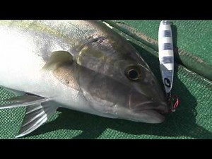 【いつでも釣り気分！】#159 ジギングゲーム最先端！魅惑の海域 屋久島周りを攻める