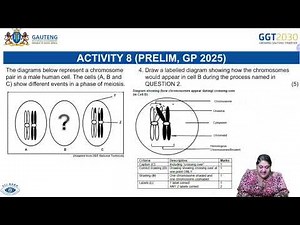 14 NOVEMBER 2025 14:30 - 16:00 LIFE SCIENCES PAPER 2 GRADE 12