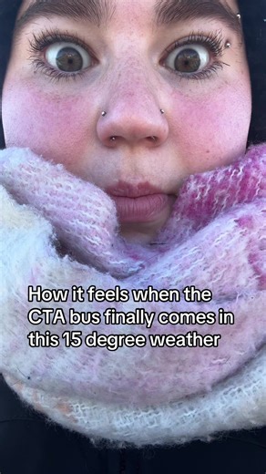 Waiting for the CTA Bus in 15 Degree Weather