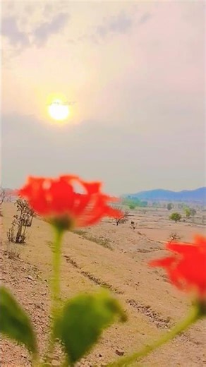 Kabhi Sham Dhale To_Mere Dil Me Aa Jana.... #song #nature #jharkhand #viral
