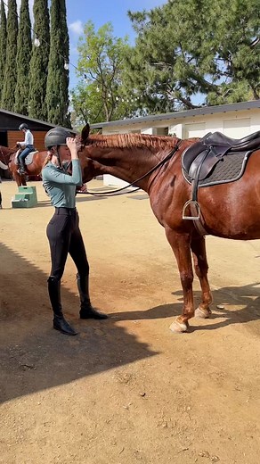 Finally found a horse taller than me 🥰 #equestrian #horsegirl #horse #horses #farmgirl #horserider #fashion #model #fyp #cutegirl #fashionmodel #vs #vsfs #prettygirl #girl #girls