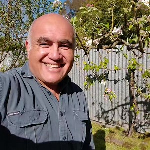 Double grafted apple tree 🍎🍏 . Planting a double, triple, or even quadruple grafted fruit tree is a good way to utelise limited space in the garden. With regular pruning a multi grafted fruit tree can take up the same space as a single fruit tree. So, if there is only room for 1 tree in your garden, consider planting at least a double grafted one 🌳🌳 . #maramataka #growingkaibythemoon #maramatakamaori #gardeningbythemoon #lunargardening #maarakai #nzlife #sustainablelifestyle #tikangamaara #p