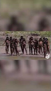 Conservationist releases never-before-seen footage of uncontacted Amazonian tribe #shorts