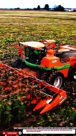 Best Innovative Oxbo 8840 Corn Harvester for High Efficiency Farm