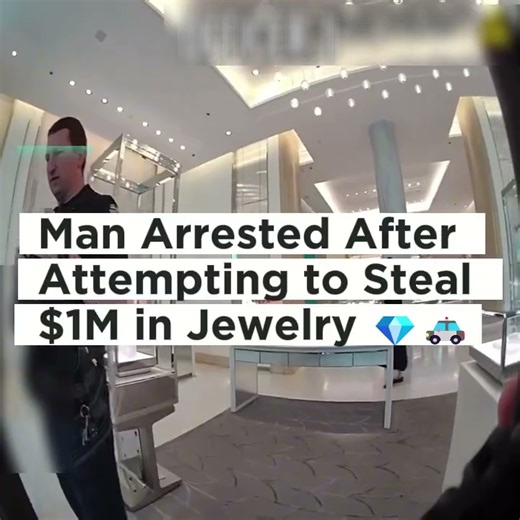 53K views · 1.1K reactions | Attempted High Value Jewelry Theft Ends in Arrest ⚠️ Police investigated an attempted theft involving jewelry valued at nearly one million dollars highlighting how major property crimes are detected and prosecuted This case shows why large scale theft carries severe legal consequences and how careful planning does not eliminate accountability under the law #LegalAwareness #PropertyCrime #PublicSafety #KnowTheLaw | Police Body Cam | Facebook