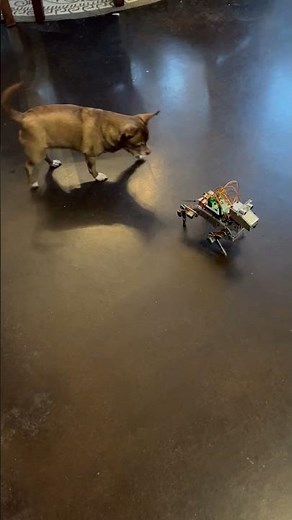 PiDog and Pilot #sunfounder #robotics