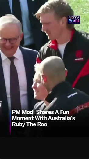 Watch: PM Modi Shares a Fun Moment With Australia’s Ruby the Roo | #shorts