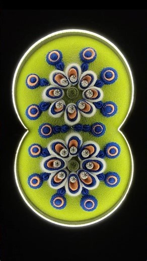 A calm bloom repeating itself like a silent echo of inner balance #relaxingvideo #visualcalm