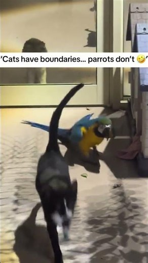 ‼️🚨WE BEG FOR HELP URGENTLY:- Can you help save another life?kindly visit our link in bio to donate.