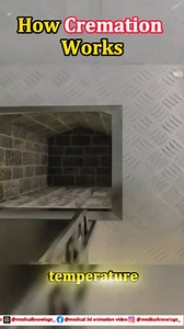 2.7K views · 674 reactions | Cremation explained in 60 seconds. A respectful 3D look into the step-by-step process. Knowledge brings comfort. #CremationProcess #3DAnimation #HowItWorks #EducationalVideo #LifeAndDeath #FuneralEducation #AwarenessVideo #LearnSomethingNew #ScienceExplained #AnimationExplained #DidYouKnow #TrendingReels #ViralVideo #InformativeReels #3DExplained #BehindTheScenes #FactVideo | medical 3d animation video | Facebook