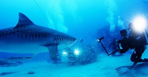 Pariscience : les 5 films coups de coeur à découvrir au festival international du film scientifique