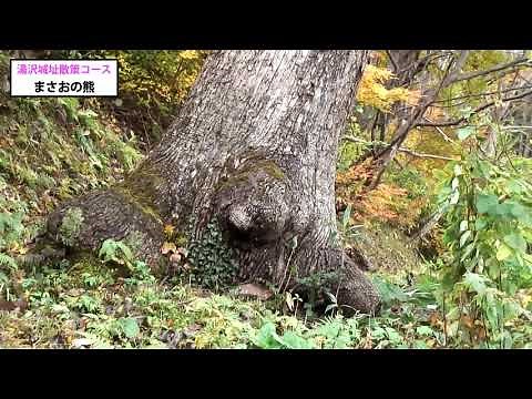 ＜旧版＞湯沢城址散策コース【湯沢市観光ガイドモデルコース】