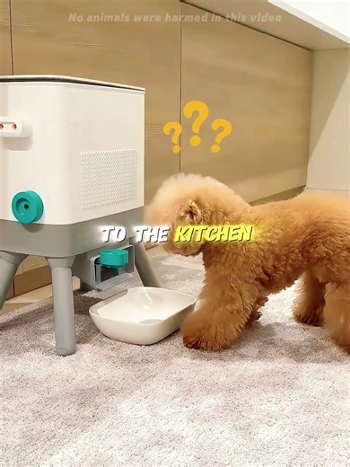 Genius Puppy Refills His Own Snack Dispenser! UNBELIEVABLE 🧠#shorts #usa