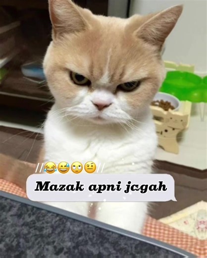 😂🙄😅🤨#foryou