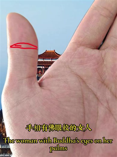 Do you have the Buddha's Eye tattoo on your body?#傳統文化 #國學 #palmreading #手相 #八字命理