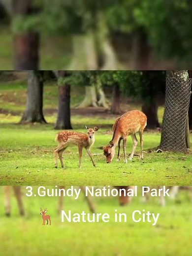 Top 5 places to visit in chennai with friends and family❤✌😎