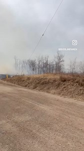 4.1K views · 144 reactions | Alberta … Edmonton and area ⚠️⛔️ If you...