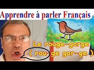 Apprendre à parler français : Animaux de la forêt # 14