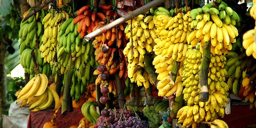 Tipos de banana: conheça os mais comuns no Brasil - MF Magazine