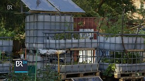 Fische züchten und Gemüse mitten in der Stadt anbauen. Vor der eigenen Haustür. Vielleicht sogar auf dem eigenen Balkon. Mit "Aquaponic" soll das klappen. Nachhaltig und umweltschonend. | BR24