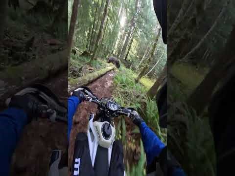 Raw GoPro footage at Elk Flats OHV-upper Nestucca-Oregon