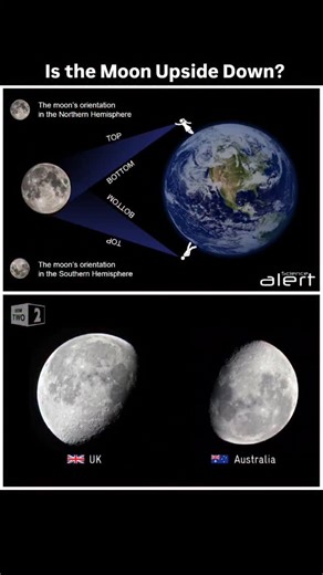 All Around Science (Official) on Instagram: "Is the Moon Upside Down? Video Credit: Stargazing Live: Australia Episode 2 - BBC Two (https://youtu.be/XHzzRbw0lgI) Infographic: via Science Alert (https://www.sciencealert.com/the-moon-is-upside-down-in-the-northern-southern-hemisphere-and-how-did-we-not-know-this) Montage: @itsthemind"