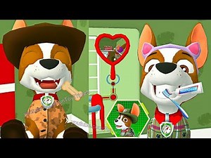 PAW Patrol: A Day in Adventure Bay - Tracker #8 Mighty Pups Mission - Nick Jr. - HD