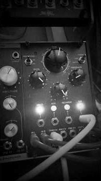 Erica Synths Black Stereo Delay in Hold Mode (Quick Eurorack Synth Module Demos)