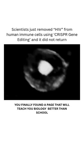 BIOLOGY | MEDICAL | HEALTH | This Could Be the End of HIV — CRISPR Breakthrough Shocks Scientists!! Scientists just cut HIV out of immune cells using CRISPR — and the... | Instagram