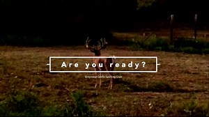 Orvis Lodge of the Year 2011 and 2015 www.greystonecastle.com 800-399-3006 | Greystone Castle Sporting Club