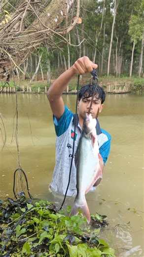 Unbelievable Fish Trap in village#fishingtechniques #villagepond