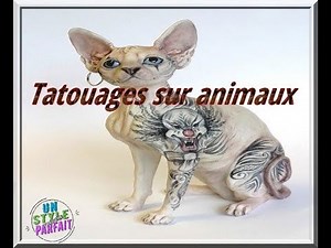 Les tatouages sur animaux