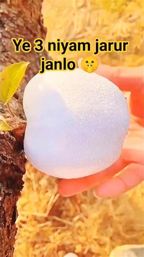 Ye 3 Niyam Jarur Janlo 🤫😱 | Life Changing Sigma Rules 💀🔥 #shortsfeed #shorts #viral #sigmarules #yt