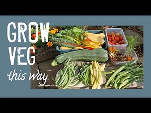 Grow Your BEST Vegetables with Smart Crop Rotation!