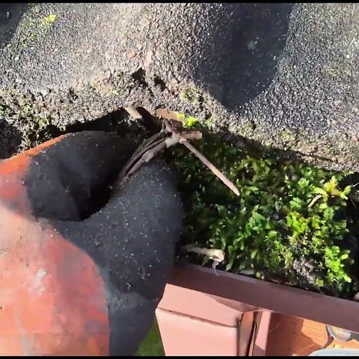 Leaf guards in downpipes sound like a good idea.