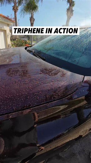 Triphene® in action! MAXL One delivers instant hydrophobic and self-cleaning properties as well as creating a mirror-like shine for your paint. Get yours today at MAXL.com #maxl #maxlone #triphene #beads #beading #carcare #detailing #detailingcars | MAXL