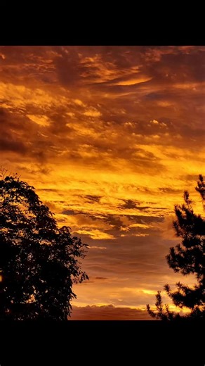 David Morris on Reels