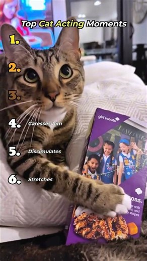 Top Cat Acting Moments