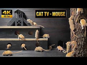 Cat TV for Cats to Watch | Ultimate Real Mice Hide & Seek in Wooden House Maze | 8 Hours - 4K 60fps