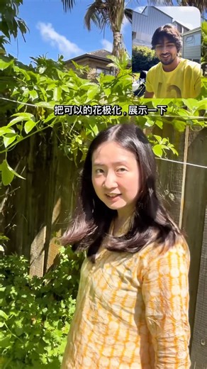 Somendra Solanki on Instagram: "Our passion fruit tree is blooming again! 🌸✨ This year, my Chinese girlfriend is taking the lead in hand-pollinating the flowers — so we can enjoy sweet homegrown passion fruits again soon 🥭💛 Nothing beats the joy of growing your own fruits together 🍃🌼 #PassionFruitSeason #homegardenlove #PassionFruit #GardeningReel #HomeGarden #GardenLife #HandPollination #FruitLovers #OrganicGardening #GardenCouple #GrowYourOwn #PassionFruitFlowers #PassionFruitPlant #Garde