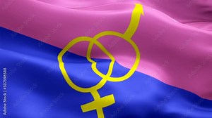 Rainbow Heterosexual Pride Flag video waving in wind. Realistic Straight ally Flag background. Rainbow Pride heteroflexible Flag Looping Closeup 1080p Full HD 1920X1080 footage. Rainbow colors LGBT He