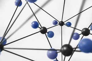 Executive Master | Public Management and Innovation