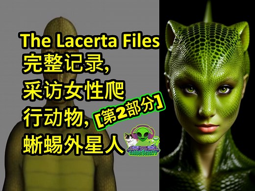 [第2部分] The Lacerta Files 采访女性爬行动物，蜥蜴外星人。 完整的成绩单。UFO UAP 外星人飞碟 飞船 reptilian draco
